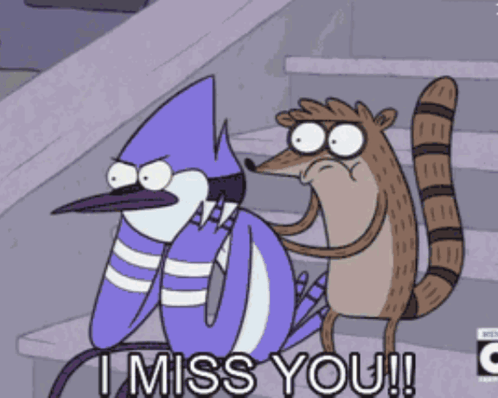 Bird And Raccoon Saying I Miss You GIF