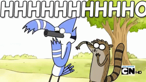 Bird And Raccoon With Tree And Hhhhhhhhh GIF