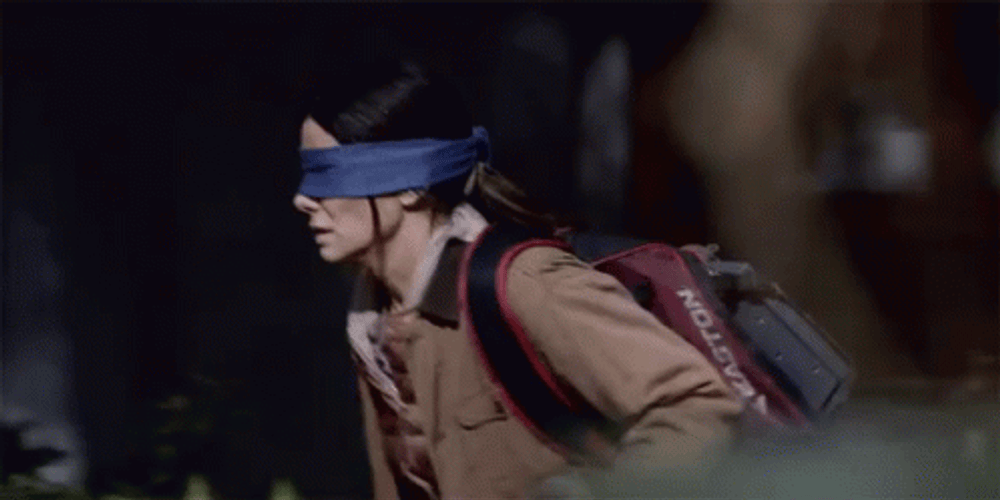 Bird Box GIF