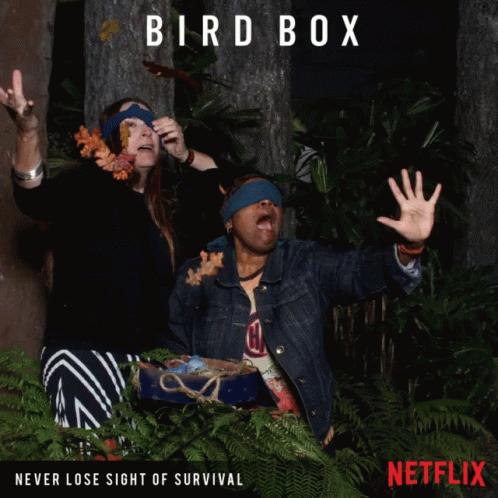 Bird Box Blind Fold Possing GIF