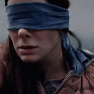 Bird Box Malorie Attack Scene GIF
