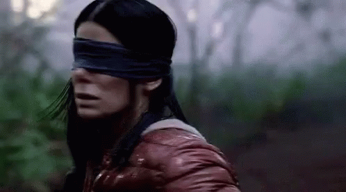 Bird Box Malorie Blind Fold Scene GIF