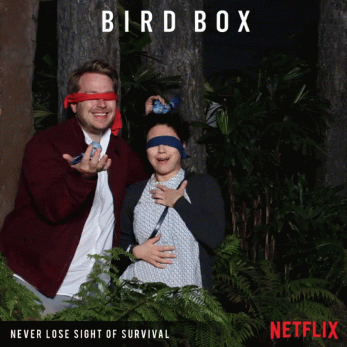 Bird Box Never Lose Sight Of Survival GIF