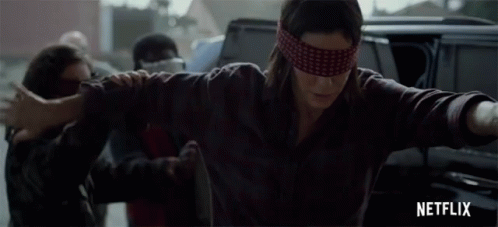Bird Box Please Dont Hurt Yourself GIF