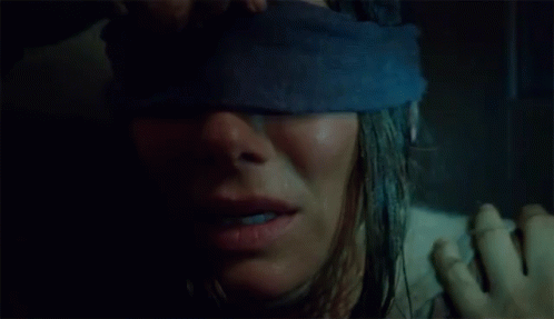 Bird Box Sandra Bullock Open Blind Fold GIF