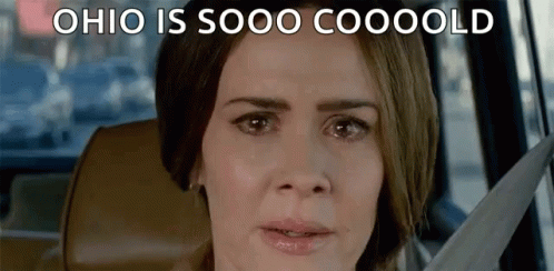 Bird Box Sandra Bullock So Cold GIF