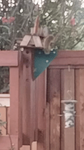 Bird Feeder on Wooden Fence Saying Peace