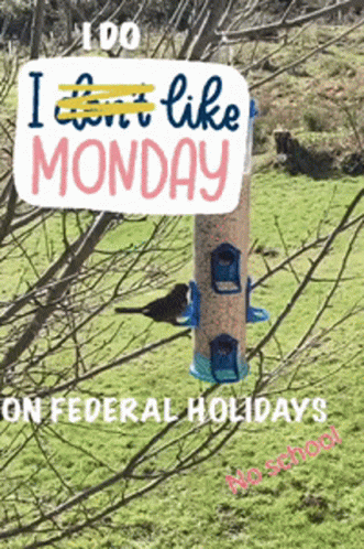 Bird Feeder With Sign Saying I Can't Like Monday on Federal Holidays