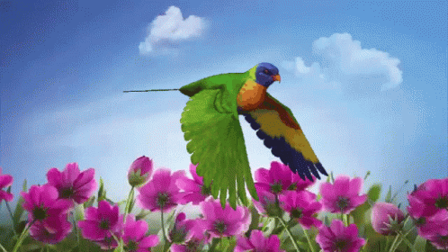 Animated Bird Flying Over Flower Field GIF