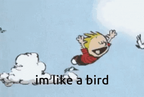 Bird Flying With Kid GIF