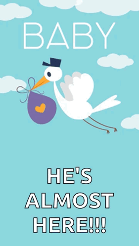 Bird Flying Almost Here GIF