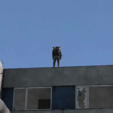 Bird Flying Over Building