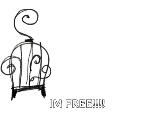 Bird Flying Over Cage Im Free