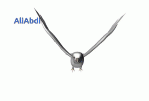 Bird Flying With Aliabdi GIF