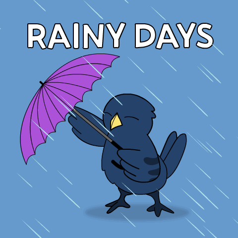 Bird Holding Purple Umbrella Rainy Days GIF
