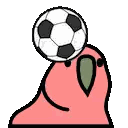 Bird Holding Soccer Ball on Head