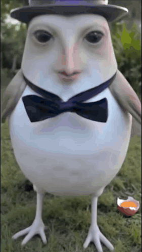 Bird In Hat And Bow Tie GIF