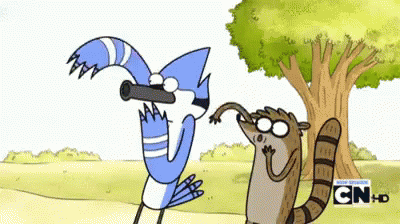 Bird Looking Through Telescope Next To Raccoon GIF