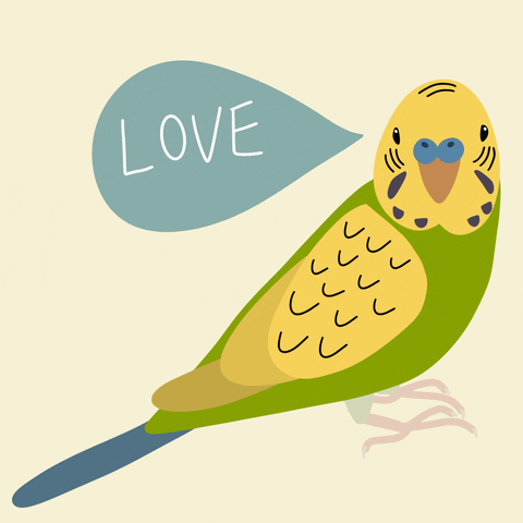 Bird Mother's Day Greeting Love You Mom Sticker GIF