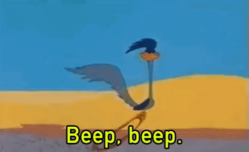 Bird Next to Cactus Beep Beep
