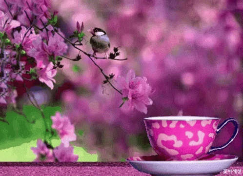 Bird Perched Next To Coffee GIF