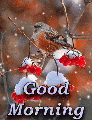 Bird Perched On Branch With Red Berries GIF