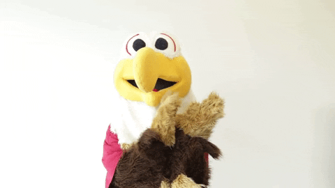 Bird Puppet Sarcastic Clap GIF