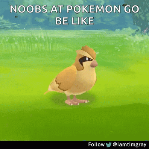 Bird Saying Noobs At Pokemon Go Be Like GIF
