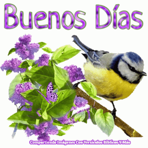 Bird Sitting on Branch with Purple Flowers