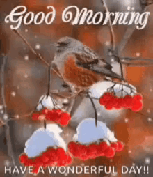 Bird Sitting on Branch with Red Berries and Snow