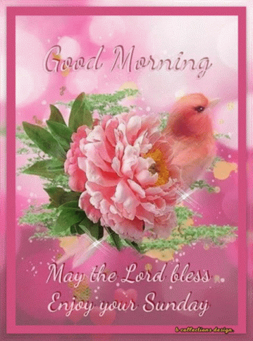 Bird Sitting On Pink Flower GIF