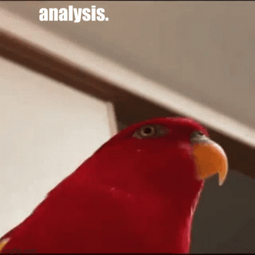 Bird Smooth Brain Detected Meme GIF