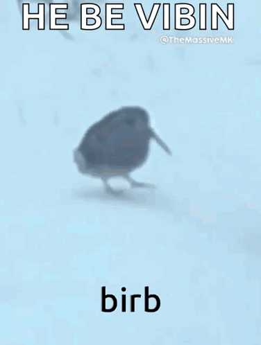 Bird Standing on Snowy Surface Saying He Be Vibin Birb