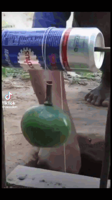 Bird Trap Falling In Backrooms Meme GIF