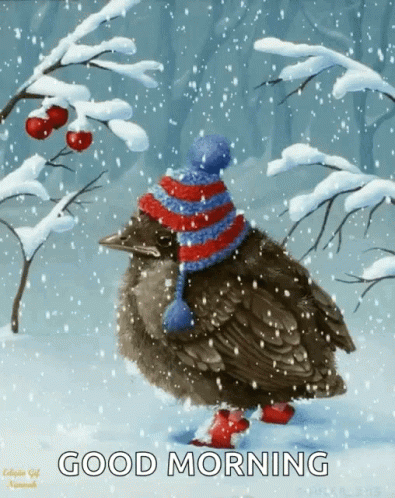 Bird Wearing Hat and Red Socks Walking in Snow