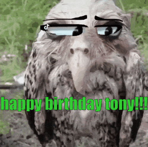 Bird Wearing Sunglasses Saying Happy Birthday