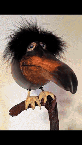 Bird With Long Beak Sitting On Branch GIF