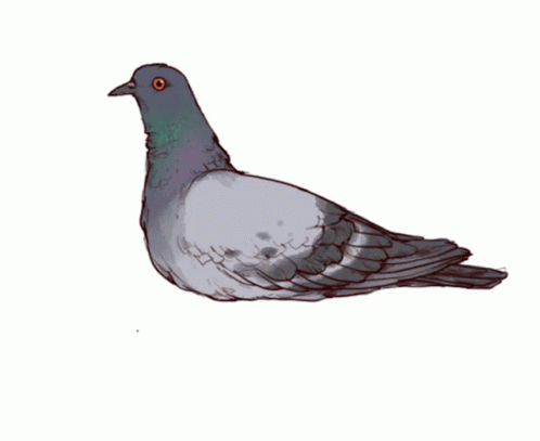 Bird With Outstretched Wings GIF