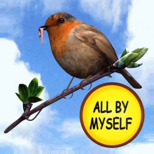 Bird With Worm Sitting on Branch