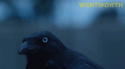 Bird With Wortwood Text