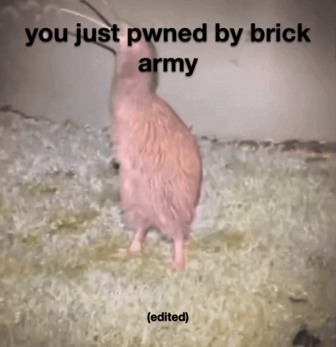 Bird You Just Pwned By Brick Army