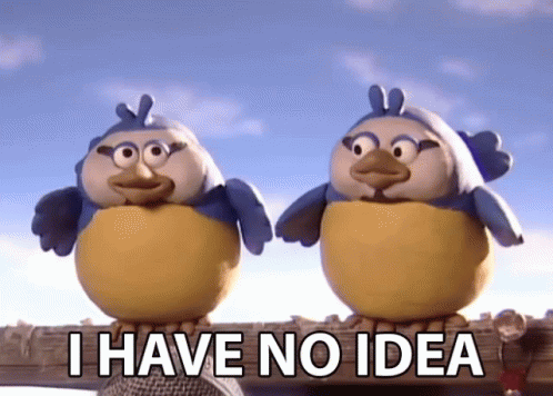 Birdies Have No Idea GIF