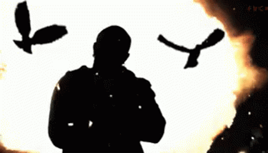 Birdman GIF