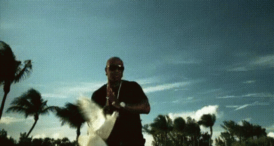 Birdman GIF