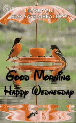 Birds on Bird Feeder Good Morning Happy Wednesday