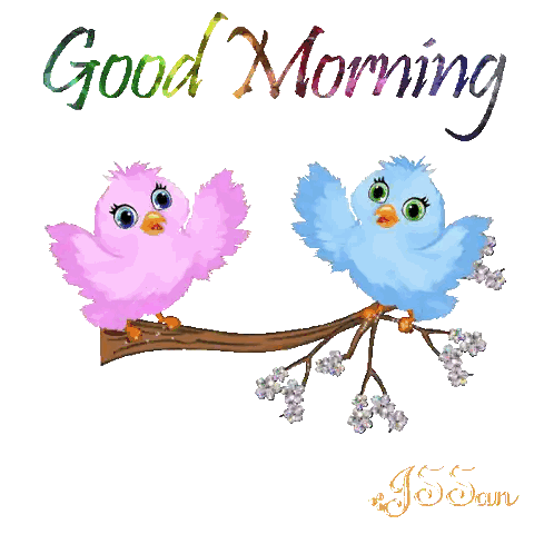 Birds Sitting on Branch Good Morning