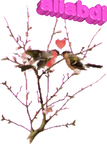 Birds Sitting on Tree Branch with Alabama