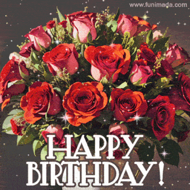 Birthday Birthday Wishes Gif GIF