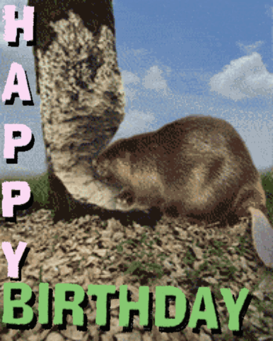 Birthday Card With Beaver