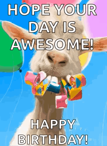 Birthday Card With Goat Holding Balloons And Party Horns GIF